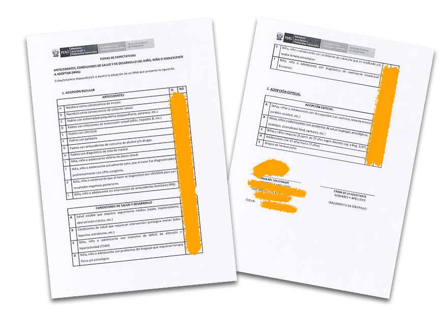 ficha de expectativas